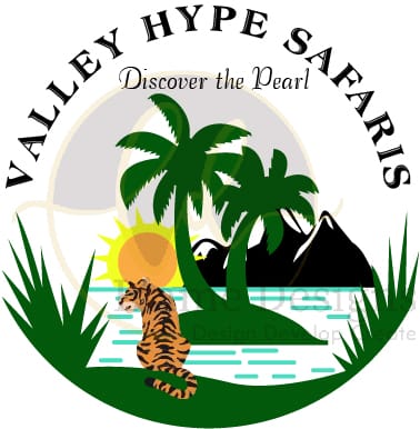 Valley Hype Safaris